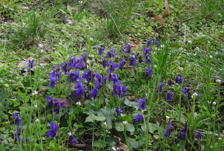 Grüße zum 8. Mai – Tag der Befreiung